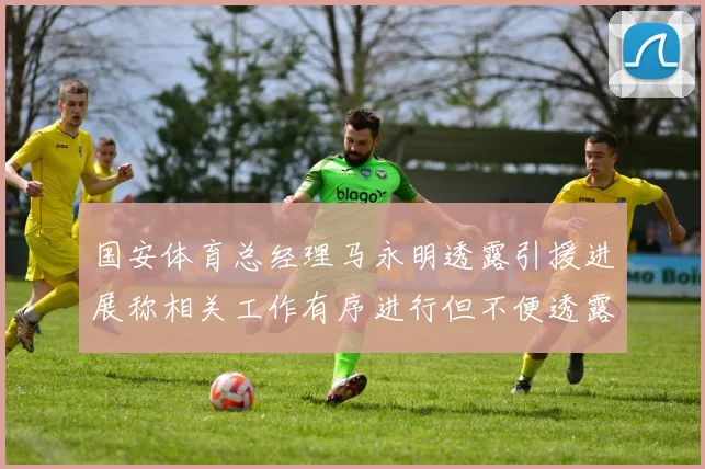 国安体育总经理马永明透露引援进展称相关工作有序进行但不便透露名字